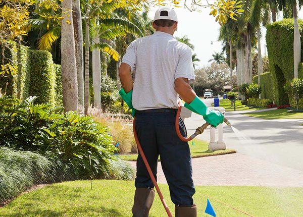 About Colerain NC Pest Control
